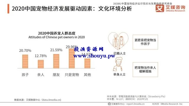 如何打造宠物行业细分领域的暴利项目!