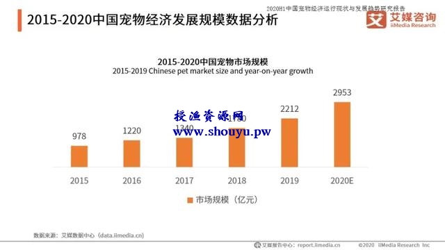 如何打造宠物行业细分领域的暴利项目!
