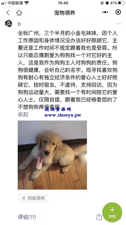 如何打造宠物行业细分领域的暴利项目!