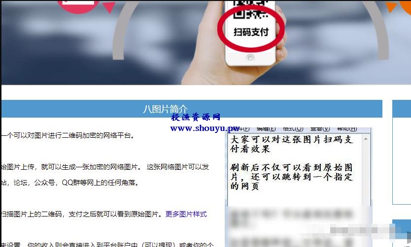 全自动虚拟项目,操作流程和技巧详解