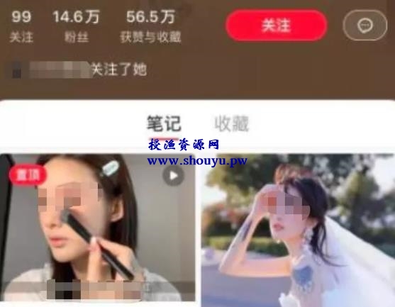 一个简单赚钱项目,自媒体派单月入过万