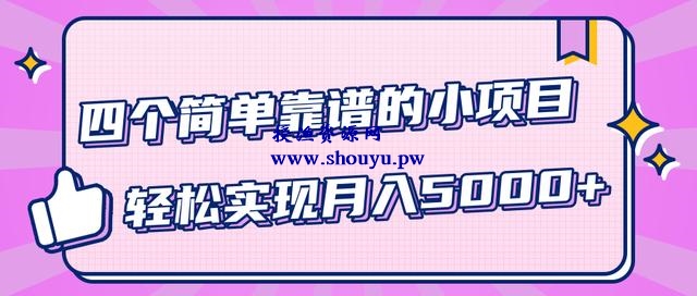 小白实实在在赚钱项目,四个简单靠谱的小项目-轻松实现月入5000+【视频教程】