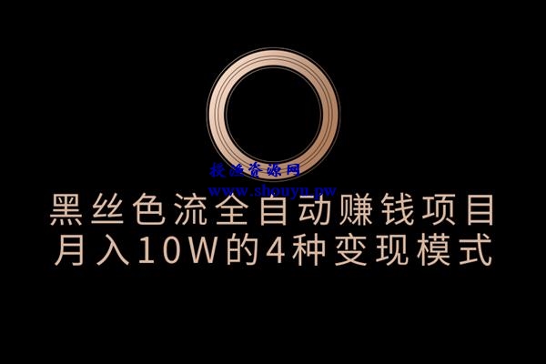 佐道副业特训营3:黑丝论坛色流全自动赚钱项目,月入10W的4种变现模式