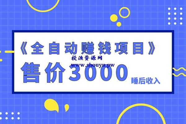 佐道副业特训营4:售价3000的全自动赚钱项目,打造睡后收入
