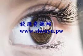 没有资源的我们,怎么才能创业做生意赚大钱