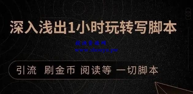王半圈1小时深入浅出视频实操讲解,教你0基础学会写引流脚本