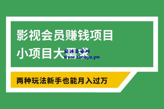 佐道超车暴富系列课9:影视会员赚钱项目,小项目大需求,两种玩法新手也能月入过万