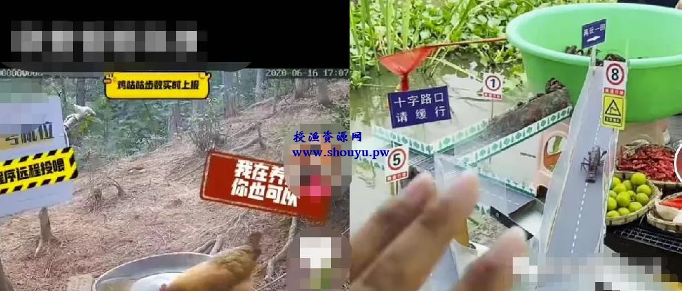 2个短视频暴利赚钱项目,新手学会一天赚500