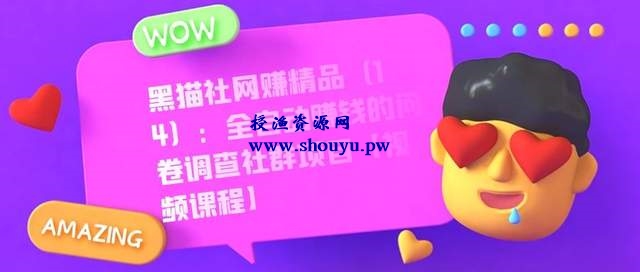 黑猫社网赚精品(14):全自动赚钱的问卷调查社群项目【视频课程】
