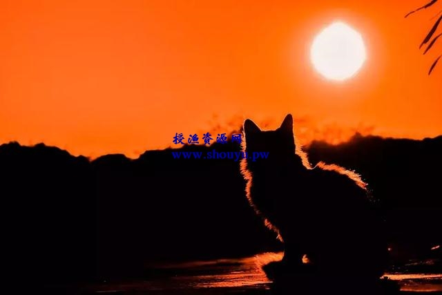 新手如何做自媒体,分享一点号互联网创业之道