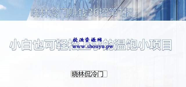 晓林冷门赚钱36招第1招:小白也可轻松上手的温饱小项目【视频课程】