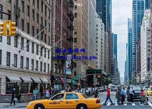 自媒体赚钱运营,如何选择适合自己的领域?