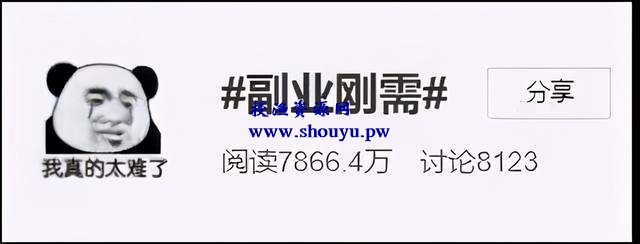 推荐两个稳定副业,月入过万的流量变现平台